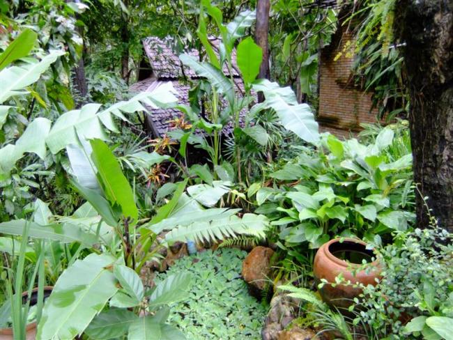 DSCF8585 (Medium).JPG
